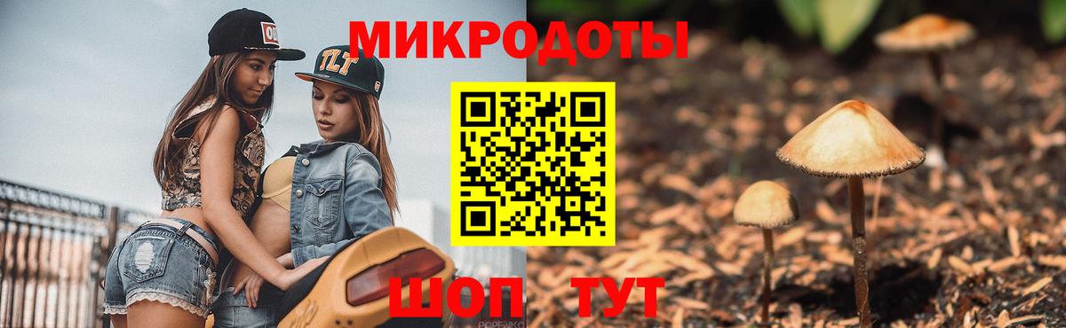 Псилоцибиновые грибы Magic Shrooms  Вход с VPN  Псилоцибиновые грибы Psilocybe  купить закладку  Красный Сулин 